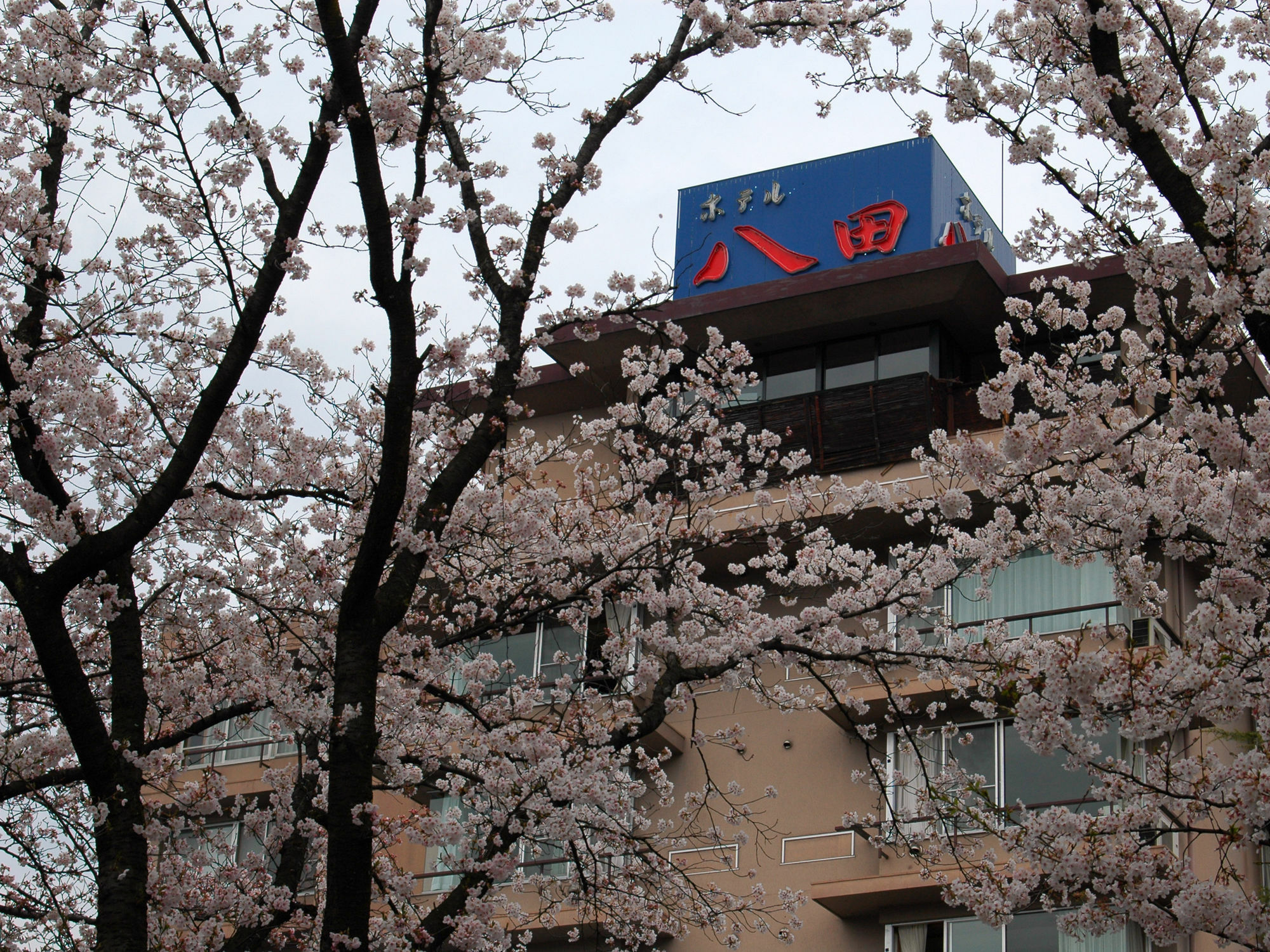 Hotel Hatta Fuefuki Exterior photo